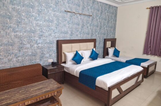 Hotel Mayank Plaza-Near IGI Airport Terminal-3