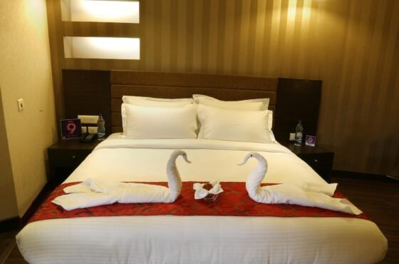 Five Elements Hotels – Delhi (Hotel North Avenue)
