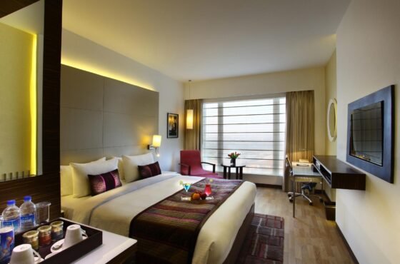 Park Plaza Delhi CBD Shahdara