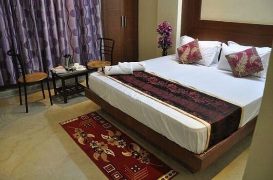 Hotel Repose Villa Near New Delhi Railway Station