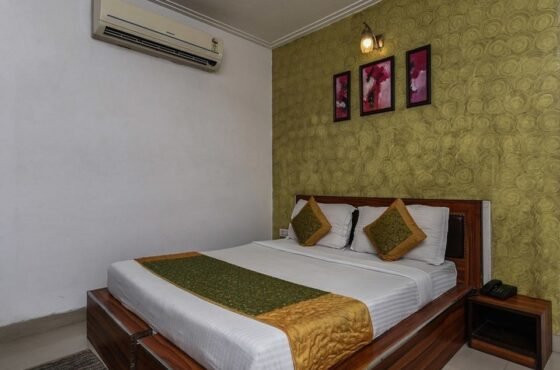 OYO 7655 Om Paradise Hotel