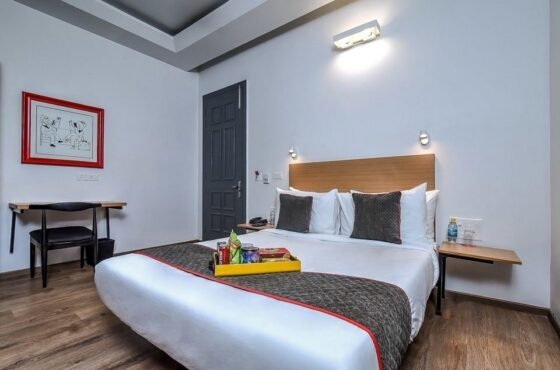 OYO Townhouse 039 Paschim Vihar